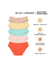 Combo 5 quần lót nữ basic Comfort Modal MILEY LINGERIE - Màu sắc ngẫu nhiên