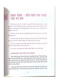 Sách Yêu Con Như Thế Là Vừa Đủ: Cho Con Tự Lập (Cẩm Nang Nuôi Dạy Trẻ Từ 5 - 6 Tuổi)