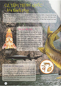 Thiên Nhiên- Những Bí Mật Còn Ẩn Giấu - Động Vật Quý Hiếm (Tái Bản 2019)- 2HBooks