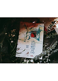 product-img-3