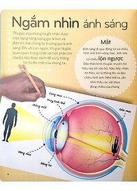 Sách Khoa Học Khắp Quanh Ta - Siêu Giác Quan