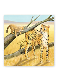 product-img-3