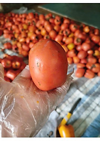 Hồng sấy dẻo Đà Lạt 500g