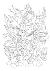 Tô Màu Người Lớn - MAI LAN CÚC TRÚC