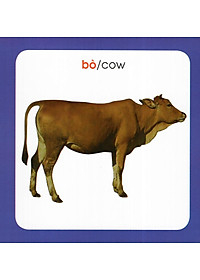 product-img-10