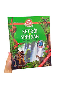 product-img-6