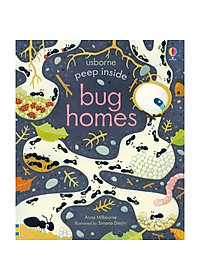 Peep Inside Bug Homes