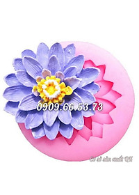 product-img-3