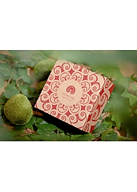 BÀO TỬ PHÚC QUÝ