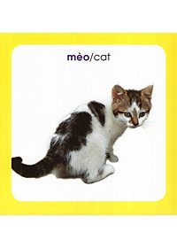 product-img-11