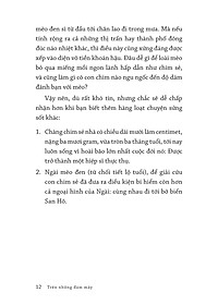 product-img-10