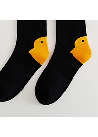 product-img-2