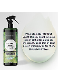 product-img-5