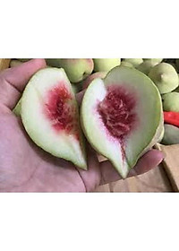 product-img-1