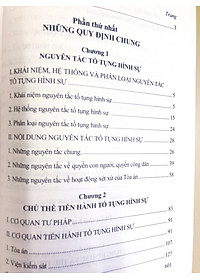 Pháp Luật Tố Tụng Hình Sự Với Việc Bảo Vệ Quyền Con Người