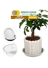 Đĩa Nhựa Lót Chậu Cây Greenhome, Nhiều Kích Cỡ, Hứng Nước Giúp Sạch Bàn, Sàn, Nhựa Nguyên Sinh, Bền, Đẹp, Chóng Rơi Vỡ