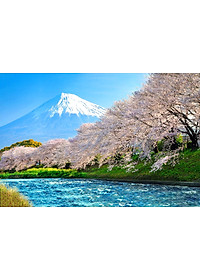 Bộ tranh xếp hình 150 mảnh – Núi Phú Sĩ 