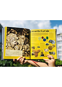 Sách Bảng Tuần Hoàn Hóa Học - The Periodic Table - Bách Khoa Toàn Thư Các Nguyên Tố