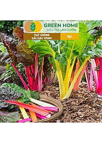 Hạt Giống Rau Cải Cầu Vồng Greenhome, Gói 5g~200 hạt, Dễ Trồng Quanh Năm, Nảy Mầm Cao, Thu Hoạch Nhanh, Năng Suất Cao R06