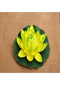 product-img-10