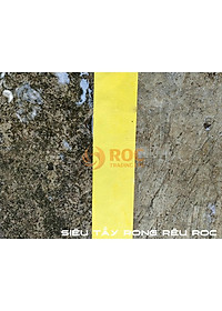 Bột Tẩy Rong Rêu Trên Nền Xi Măng ROC