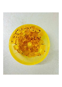 product-img-6