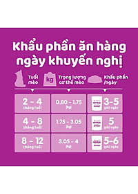 Pate Cho Mèo Con Vị Cá Ngừ Whiskas Kitten Hộp 12 Gói 80g 
