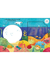 Look Closer: Under The Ocean