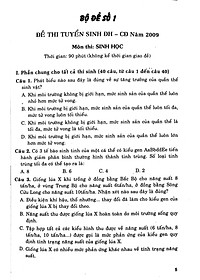 Cấu Trúc Các Dạng Đttn Sinh Học 12