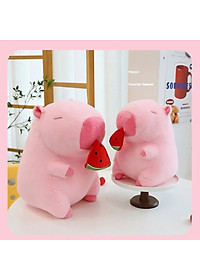 product-img-6