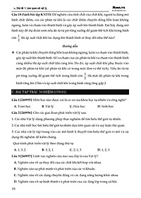 product-img-13