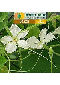 Hạt Giống Bầu Lai Greenhome, Gói 1gr~10 hạt, Dễ Trồng Quanh Năm, Nảy Mầm Cao, Thu Hoạch Nhanh, Năng Suất Cao T09