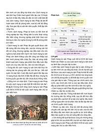 product-img-11