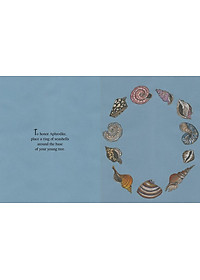 product-img-8
