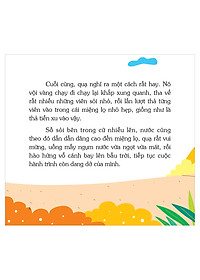 product-img-13