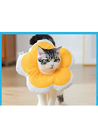 product-img-32