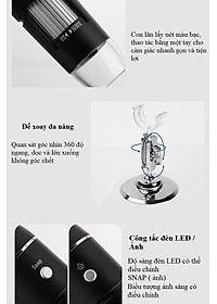 product-img-10