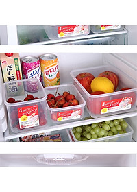 Combo 3 hộp nhựa trong đựng thực phẩm Inomata - Hàng nội địa Nhật Bản