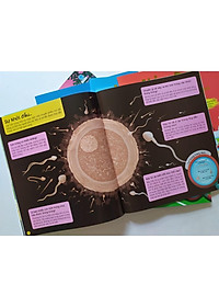 Combo Gồm 6 Cuốn: Hỏi - Đáp