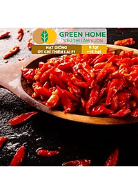 Hạt Giống Ớt Chỉ Thiên Greenhome, Gói 1gr, Sai Trái, Siêu Cay, Dễ Trồng Quanh Năm, Nảy Mầm Cao, Thu Hoạch Nhanh G10