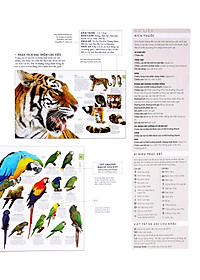 product-img-10