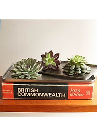 Khay Inox Đa Năng Nhà Bếp Echo Metal Không Gỉ Và Kháng Khuẩn