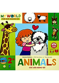 product-img-2