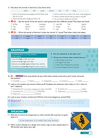 American Jetstream Pre-Intermediate B Student's book & Workbook ( không kèm CD)