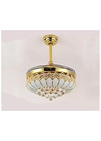 product-img-1