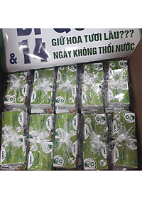 Bột Dưỡng Hoa Hồng Lâu Tàn (Set 10 hộp 1 hộp 10 gói tiết kiệm) giúp hoa luôn tươi mới, cánh hoa hồng cứng cáp gấp 2 lần và trong 14 ngày không thối nước hay cắt tỉa gốc hoa (hiệu Longlife nhập khẩu Israel)