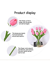 product-img-8