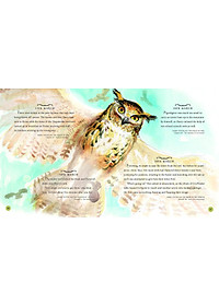 product-img-6