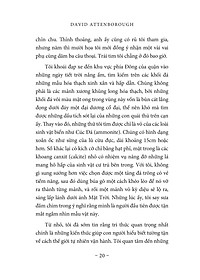 product-img-12
