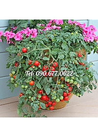 product-img-3